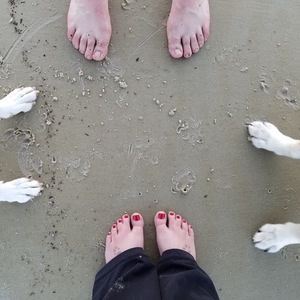 Meet your Posher, Jill